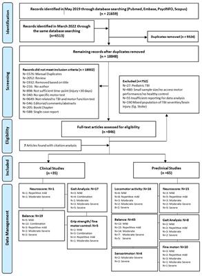 Chronic motor performance following different traumatic brain injury severity—A systematic review